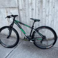 Bici mountain bike Bottecchia