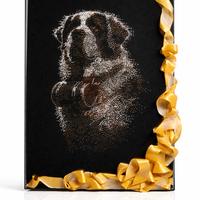 San Bernardo – Edizione Limitata ✨