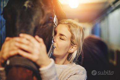 Maneggio con terreni e fabbricati