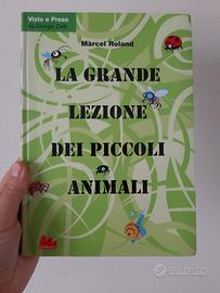 La grande lezione dei piccoli animali