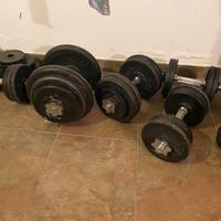 Pesi palestra home gym