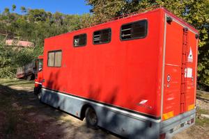 Camion Van trasporto cavalli