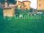 Immagine 13