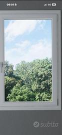 2 finestre pvc