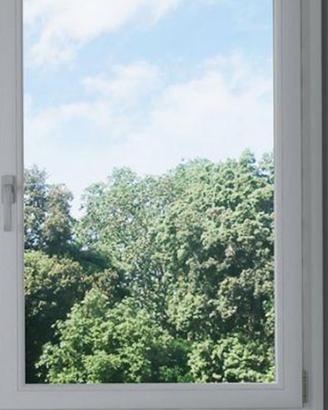 2 finestre pvc