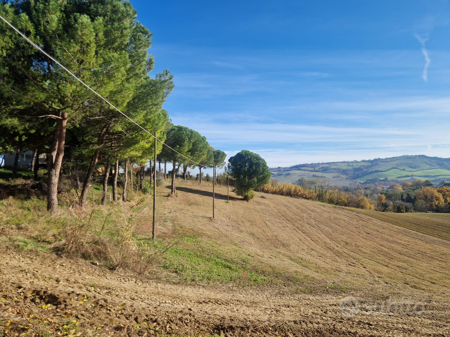 Terreno agricolo con edifici - Vista 4