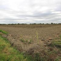 Rif.2942/T| terreno agricolo bologna