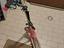 Immagine 6
