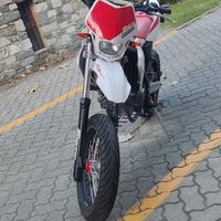 frantic 125 4t