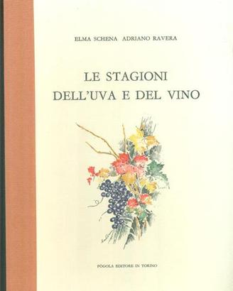 Libro d'arte