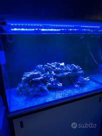 Acquario Marino 350l con sump