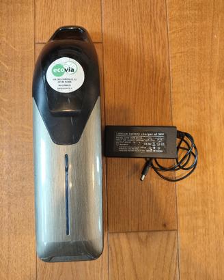 batteria bici elettrica 