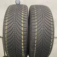 215 60 r17 96h 2 gomme goodyear 4 stagioni