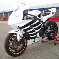 Carenatura Honda CBR 1000 RR