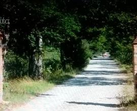 FICULLE (TR) LA CASELLA Multiproprietà