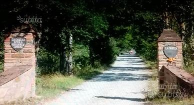 FICULLE (TR) LA CASELLA Multiproprietà