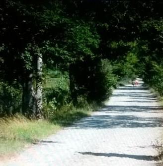 FICULLE (TR) LA CASELLA Multiproprietà