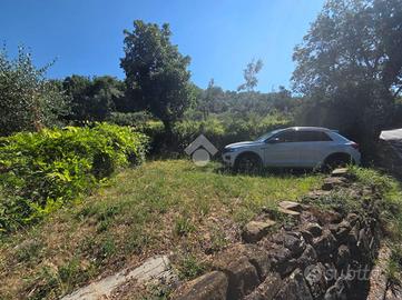 TER. AGRICOLO A MUGGIA
