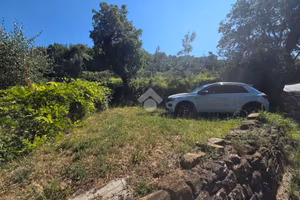 TER. AGRICOLO A MUGGIA