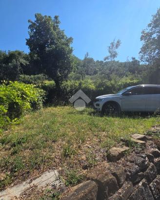 TER. AGRICOLO A MUGGIA