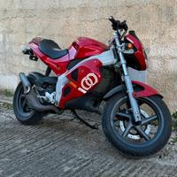 Gilera dna