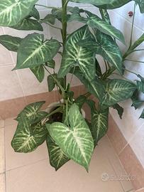 Pianta artificiale
