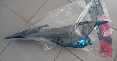 Plastica codone beta RR dal 2013 al 2017