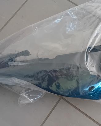 Plastica codone beta RR dal 2013 al 2017