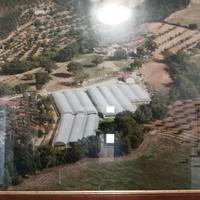 SERRE agricole usate robuste di varie misure