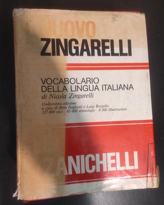 dizionario italiano il nuovo Zingarelli 
