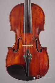 Violino