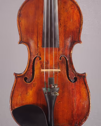 Violino