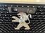Immagine 5
