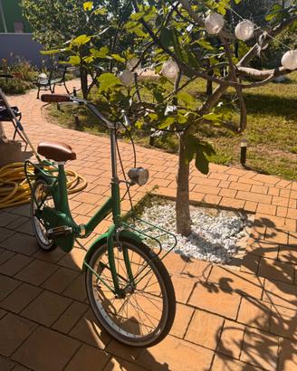 Bici pieghevole verde