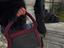 Immagine 3