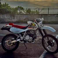 XR600R asi