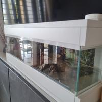 serpente teca