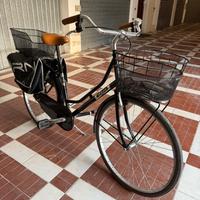 Bicicletta Vicini e accessori