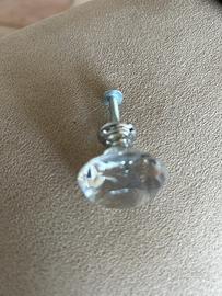 Pomelli (disponibilità 16)