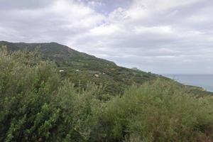 Cefalù: Ferla/Granato: terreno 9250mq circa
