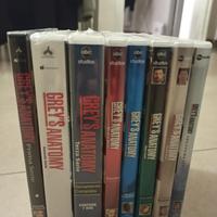 7 dvd serie grey's anatomy