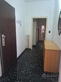 Zona centro