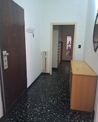 Zona centro