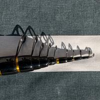 CANNA DA PESCA BOLOGNIESE SACRALE 7MT