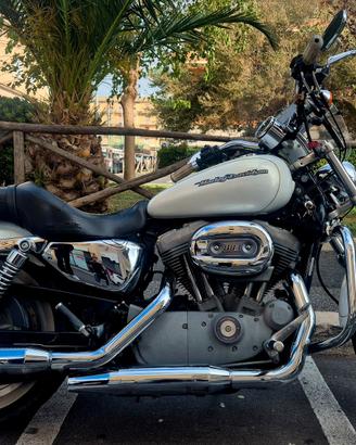 harley davidson xl 883