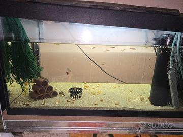 Acquario 60 Litri Completo