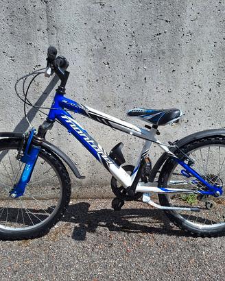 MTB Montana Escape Ragazzo