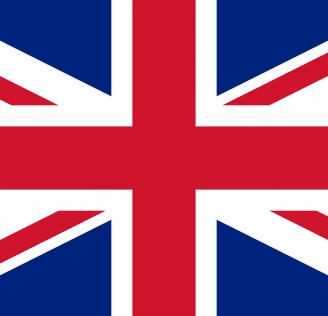 MADRELINGUA INGLESE