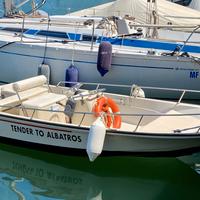 Boston Whaler Euro 15