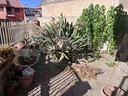 casa-indipendente-cabras-cod-rif-3343312vrg-